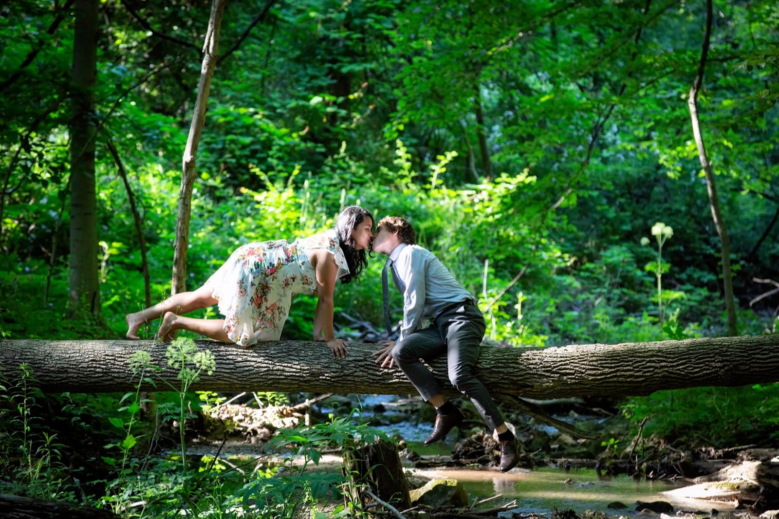 Engagement Pictures at the Dundas Valley Conservation Area