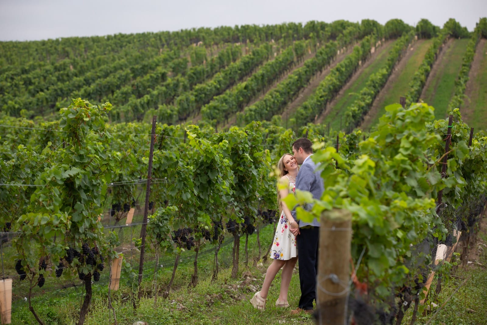 Winery Engagement Photography in the Niagara Region